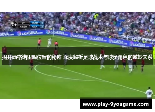 揭开西格诺里踢位置的秘密 深度解析足球战术与球员角色的微妙关系